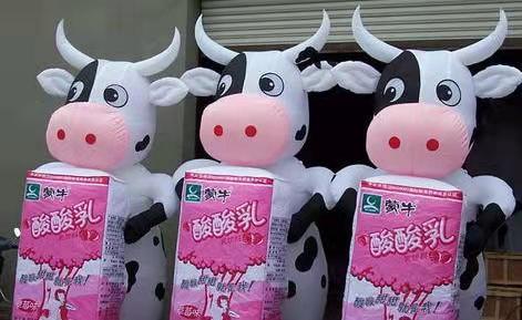 海南牛奶厂广告气模
